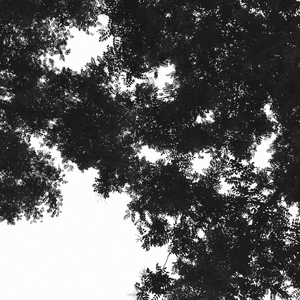 郎玉专辑《玉1》
