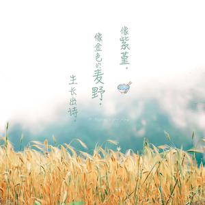 郎玉专辑《玉1》
